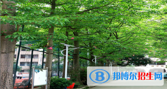 蒼梧中等專業(yè)學(xué)校2020年報名條件、招生要求、招生對象
