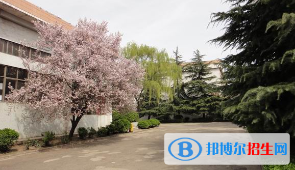 登封中等專業(yè)學(xué)校2021年報名條件、招生要求、招生對象