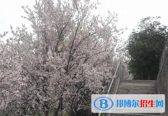 ?？德毥讨行膶W(xué)校網(wǎng)址網(wǎng)站