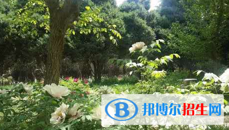甘肅金城理工中等專業(yè)學校怎么樣、好不好