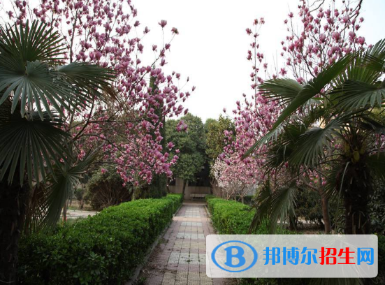 平頂山財經(jīng)學(xué)校2021年有哪些專業(yè)