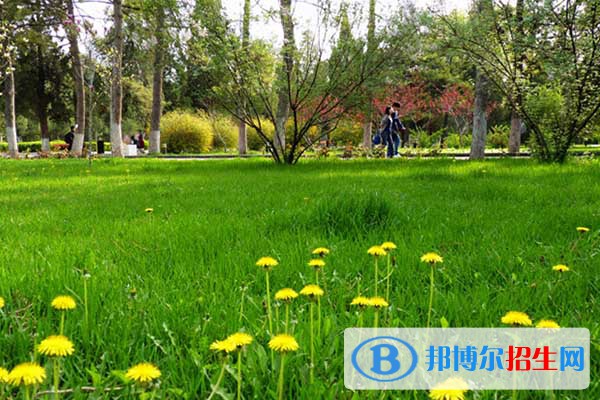 雙江縣職教中心2020年報名條件、招生要求、招生對象