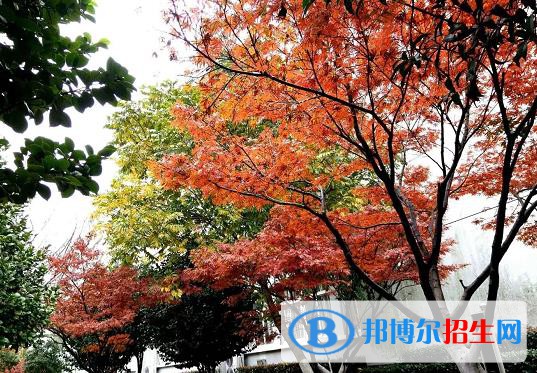 奉化職教中心怎么樣、好不好