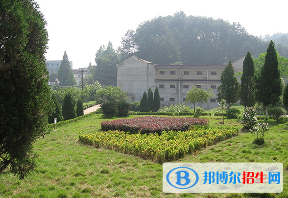 安徽行知學(xué)校怎么樣、好不好