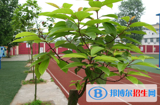 天問國際高中校長2020年報(bào)名條件、招生要求、招生對象