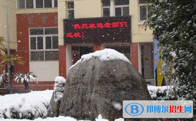 合肥世界外國語學(xué)校2020年學(xué)費、收費多少