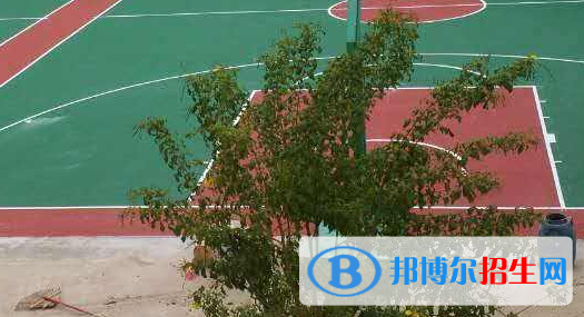 天等縣職業(yè)技術學校2020年招生辦聯(lián)系電話
