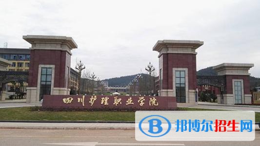 四川護(hù)理職業(yè)學(xué)院網(wǎng)站網(wǎng)址