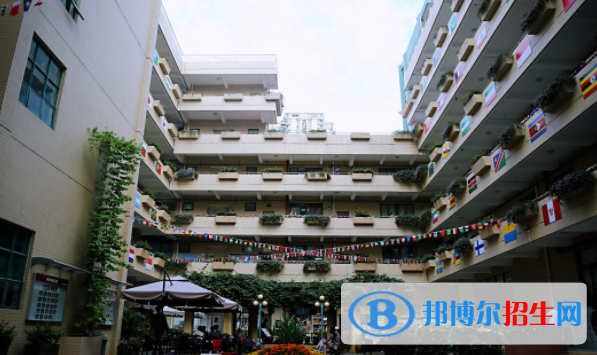 深圳國際交流學院網(wǎng)站網(wǎng)址