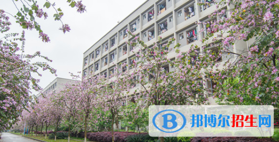 柳州2020年有哪些大專學校有鐵路學校專業(yè)