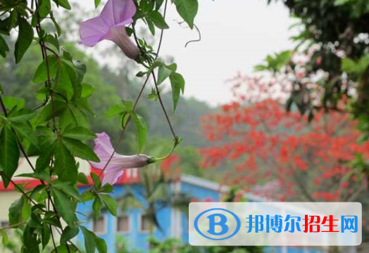 廣東理工職業(yè)技術(shù)學(xué)校怎么樣、好不好