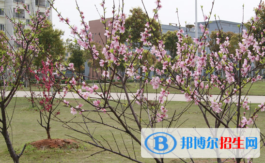 江西科技職業(yè)學(xué)院2020年報名條件、招生要求、招生對象