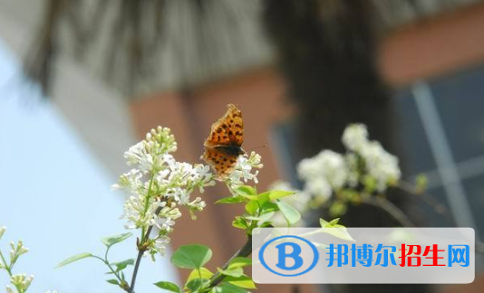 西安第五中學(xué)2020年學(xué)費(fèi)、收費(fèi)多少
