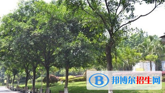 孝感市職業(yè)中等專業(yè)學校5