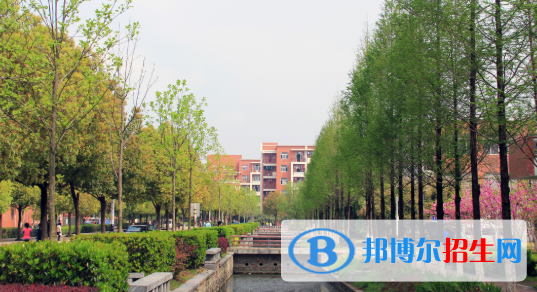 安徽新華學(xué)校2020年報(bào)名條件、招生要求、招生對象