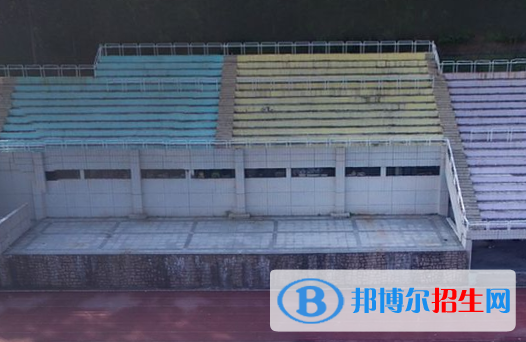廣東嶺南職業(yè)技術學院地址在哪里