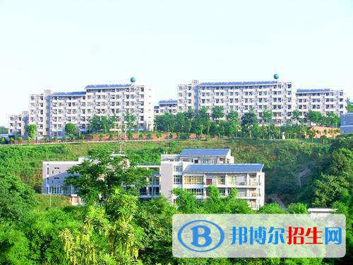 眉山職業(yè)技術學院2020年報名條件、招生要求、招生對象