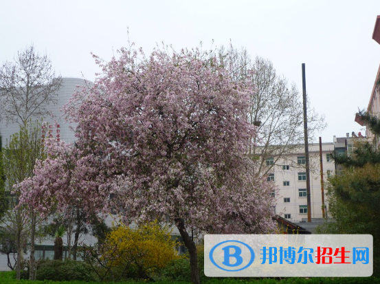 隴縣崇文中學(xué)2020年招生計劃