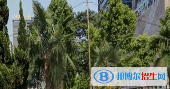 安徽2020年有鐵路學校的大專
