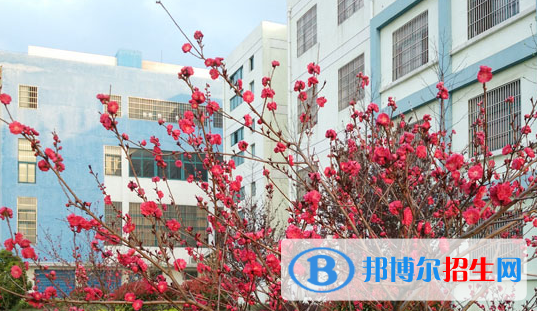 巢湖市翰文學(xué)校怎么樣、好不好