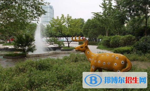 連云港外國語學(xué)校2020年報名條件、招生要求、招生對象