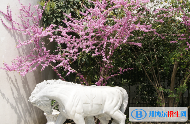 杭州國泰外語藝術(shù)學(xué)校初中部怎么樣、好不好