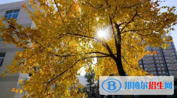長(zhǎng)武縣長(zhǎng)武中學(xué)2020年招生辦聯(lián)系電話