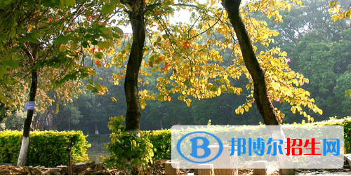 廣西民族中等專業(yè)學(xué)校怎么樣、好不好