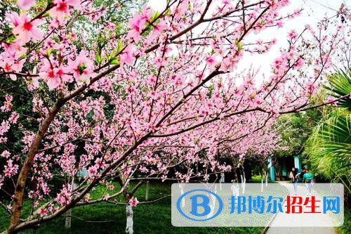 江陽城建職業(yè)學(xué)院2020年招生簡章