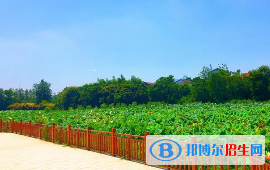 江西楓林涉外經(jīng)貿(mào)職業(yè)學院2020年報名條件、招生要求、招生對象