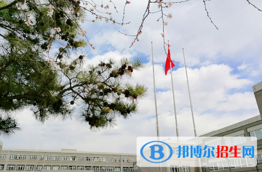 東北育才學(xué)校國(guó)際小學(xué)部2020年學(xué)費(fèi)、收費(fèi)多少