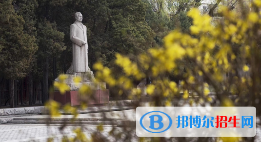 東北育才學(xué)校國際小學(xué)部2020年報(bào)名條件、招生要求、招生對象