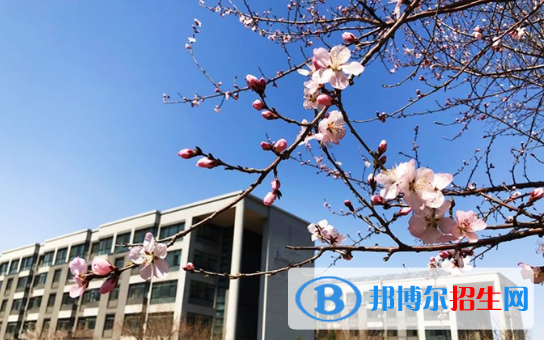 東北育才學(xué)校國際小學(xué)部怎么樣、好不好