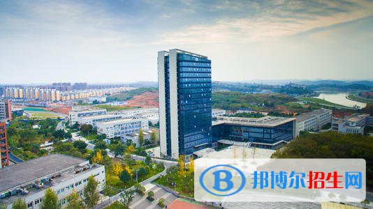 成都工業(yè)職業(yè)技術(shù)學院2020年招生簡章