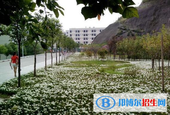 重慶三峽職業(yè)學(xué)院2020年學(xué)費(fèi)、收費(fèi)多少
