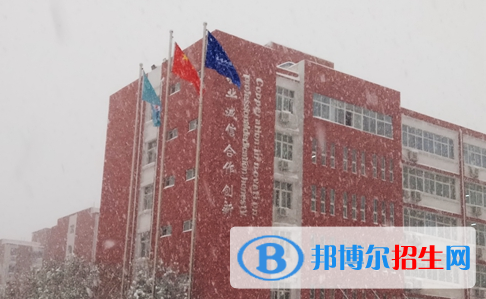 洛陽(yáng)華洋國(guó)際學(xué)校小學(xué)部2020年學(xué)費(fèi)、收費(fèi)多少