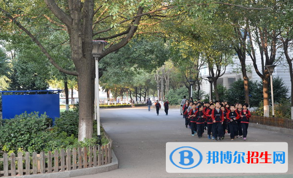 長沙麓山國際實驗學校小學部2020年報名條件、招生要求、招生對象