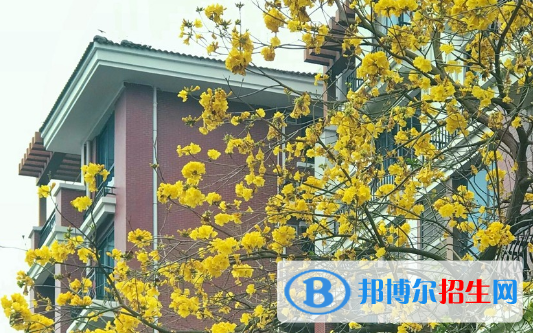 廣東碧桂園職業(yè)學(xué)院2020年報(bào)名條件、招生要求、招生對象