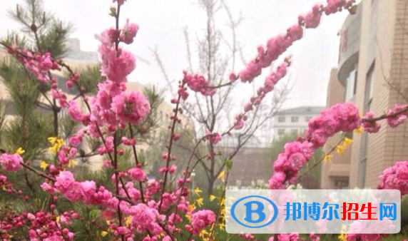 神木四中2020年學(xué)費、收費多少