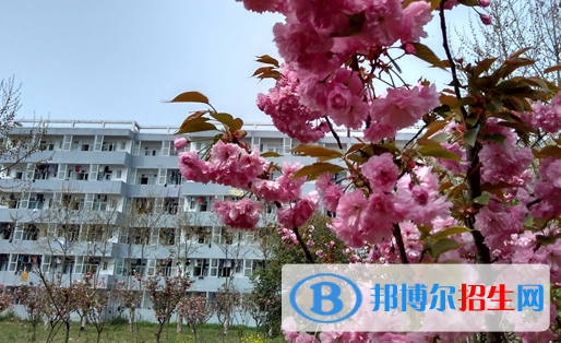 蚌埠經(jīng)濟技術(shù)職業(yè)學院2020年宿舍條件