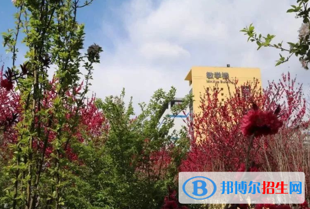 石家莊二中實驗學(xué)校2020年招生計劃