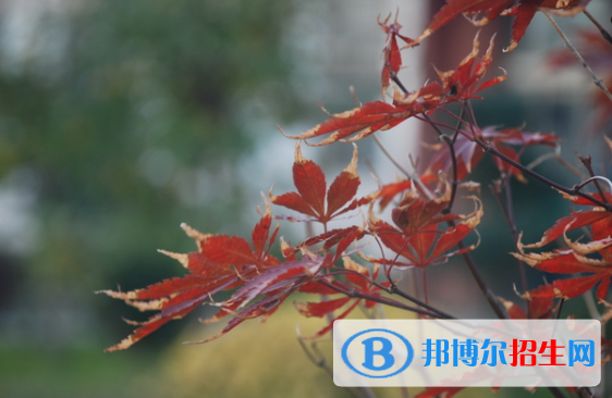  河北靈壽中學(xué)2020年報名條件、招生要求、招生對象