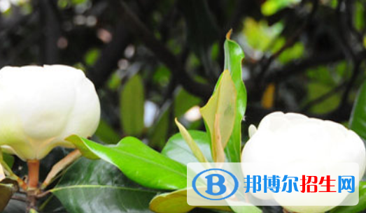 淮北煤炭管理干部中等專業(yè)學校怎么樣、好不好