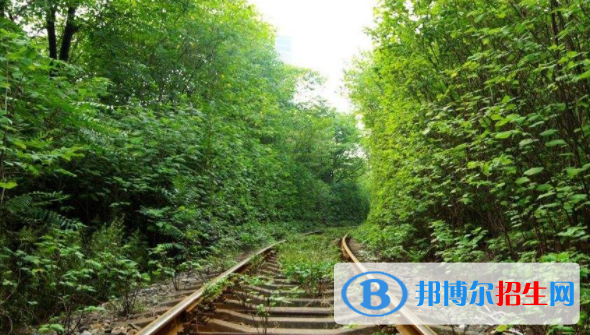 襄陽2020年鐵路學(xué)校報(bào)名條件