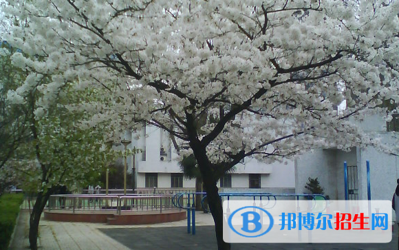南京第九中學2020年招生計劃