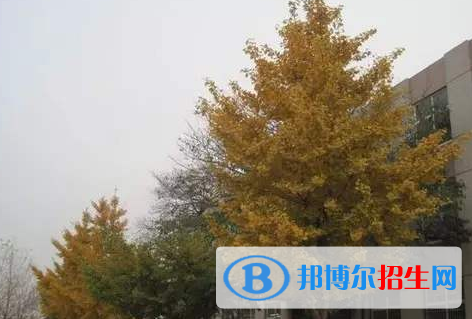  樂(lè)亭縣第二中學(xué)怎么樣、好不好