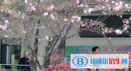 南京師范大學附屬揚子中學2021年學費、收費多少