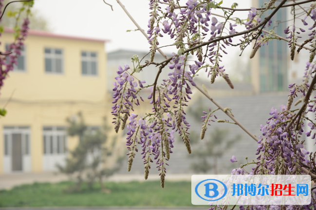 南宮中學(xué)2021年學(xué)費(fèi)、收費(fèi)多少