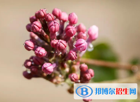 河北保定第一中學(xué)2021年招生簡(jiǎn)章