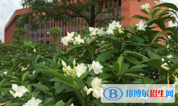 廣東工業(yè)高級技工學(xué)校2021年報名條件、招生要求、招生對象